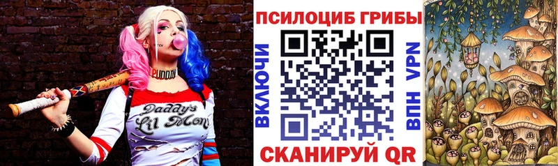 Галлюциногенные грибы Cubensis  блэк спрут зеркало  Опочка 