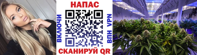 Шишки марихуана Bruce Banner  блэк спрут tor  Опочка 